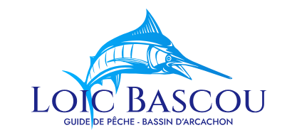 Sortie en mer pour pêche Bassin d'Arcachonn