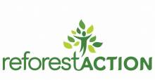 reforestaction 